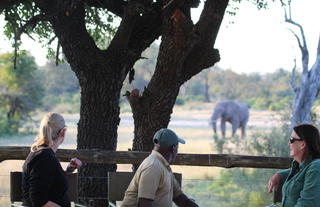 Sleepouts @ Rhino Walking Safaris