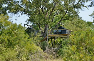 Sleepouts @ Rhino Walking Safaris