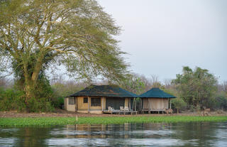 Kuthengo Camp