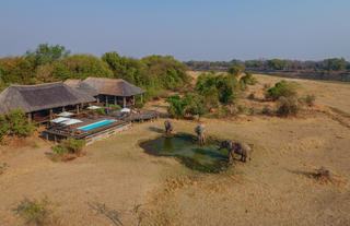Chikunto Safaris - waterhole visitors