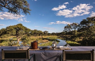 Tea time on safari