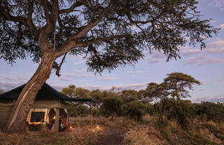 Barclay Stenner's Famous Hexagon Tents