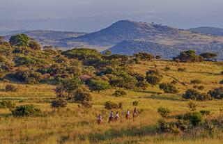 Horse Trail Riding in the Hills