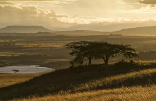 Scenery Sunset towards the Drakensberg