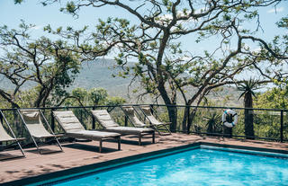 Pool under trees