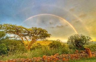 Rainbows at Sunset