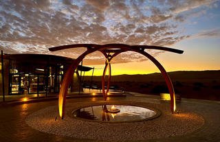 The Desert Grace