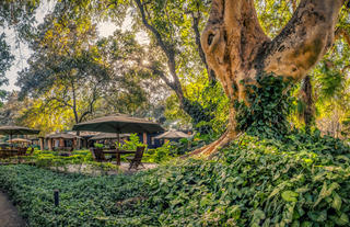 Arusha Coffee Lodge