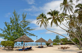 Resort Beach Area
