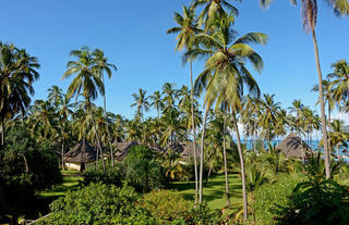Gardens 
