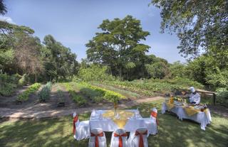 ORGANIC GARDEN LUNCH AND COOKING CLASSES