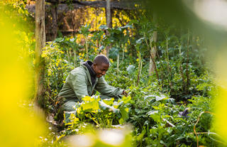 Organic Garden Tour
