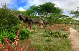 Ndutu Safari Lodge Cottages 