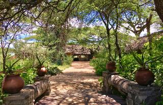 Arrival at Ndutu Safari Lodge