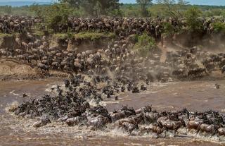 Lemala Mara Mobile Tented Camp