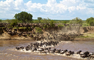 Lemala Mara Mobile Tented Camp