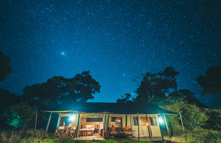 Standard Tent at night