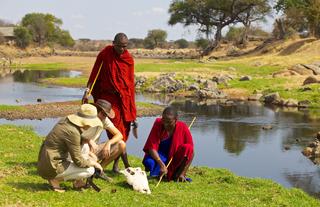 Maasai Walks