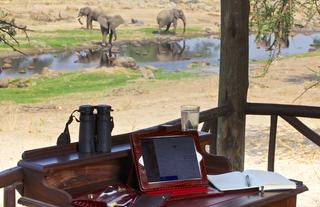 Game viewing from your veranda 