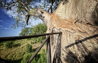 Mbali Mbali Tarangire River Camp