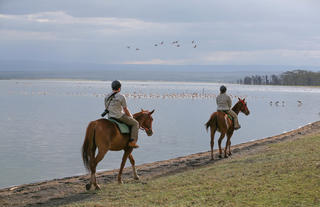Lake Side Horse Rides