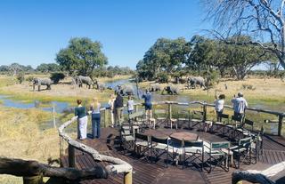 Wildlife around Nokanyana