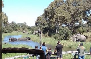 Wildlife around Nokanyana