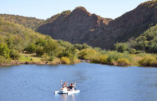 PEDAL BOATS