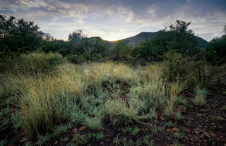 Exterior and Property grounds of Lush