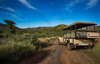 Game drives