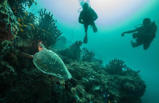 Azura Quilalea Private Island