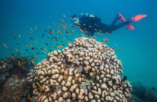 Azura Quilalea Private Island