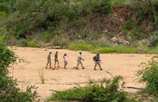 bush walk