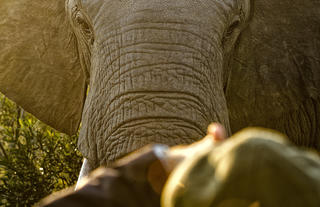 Thornybush Nature Reserve