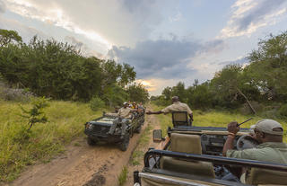 Thornybush Nature Reserve
