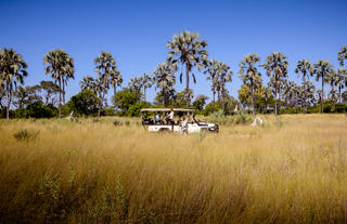 Stanley's Camp - Game drive