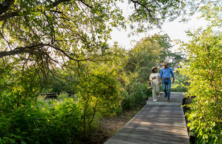 Lebombo Lodge Walkway