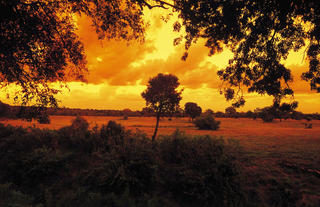Scenic sunsets