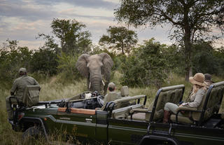 Game drives with the most qualified guiding team in Africa