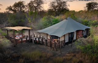 Ngala Tented Cape Tented Suite