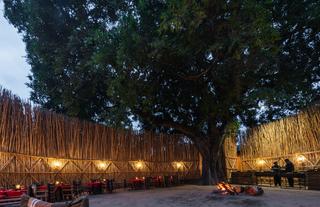 The Boma