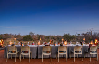 Enjoy an evening under the stars with our bush dinner experience