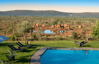 Lelapa Lodge - Guest pool view 