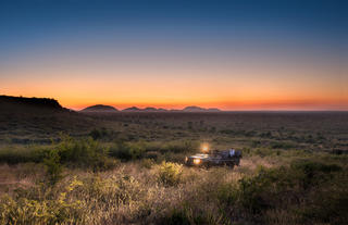 On safari - Game drive