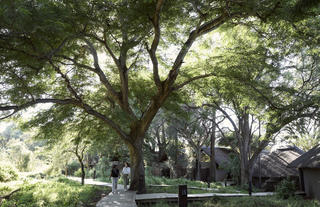 Lion Sands River Lodge -  Walkway