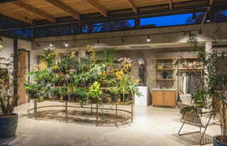 Lion Sands Ivory Lodge - Botanical House