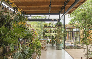 Lion Sands Ivory Lodge - Botanical House