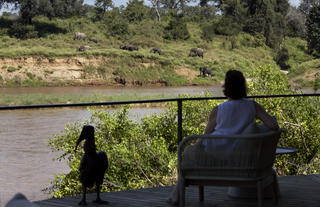Lion Sands Ivory Lodge - Viewing Deck