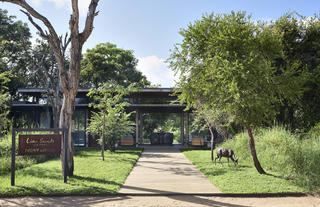 Lion Sands Ivory Lodge - Entrance