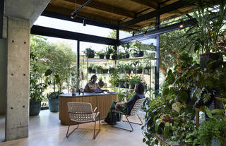 Lion Sands Ivory Lodge - Botanical House Reception